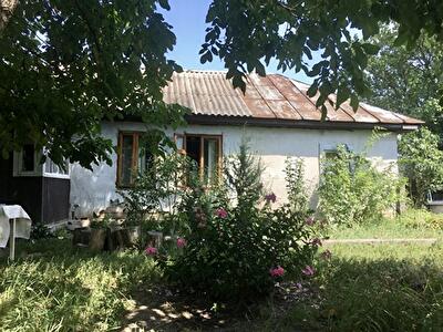 Бородянський район, с. Пилиповичі