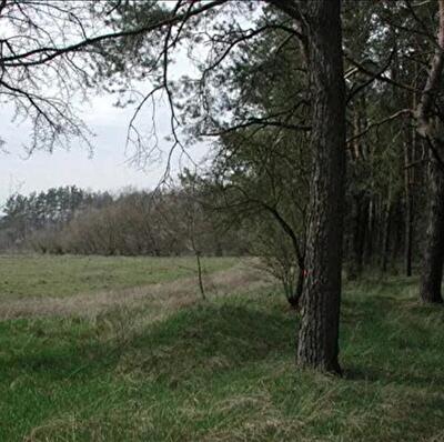 Васильківський район, с. Перевіз