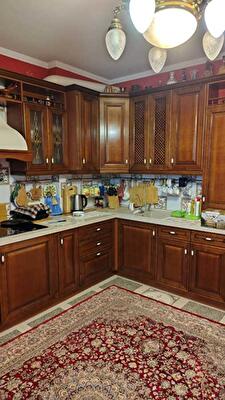 Киев, Академика Вильямса ул., 5А