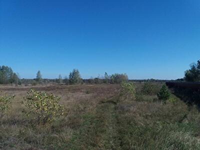 Макаровский район, с. Марьяновка (1 часть села)