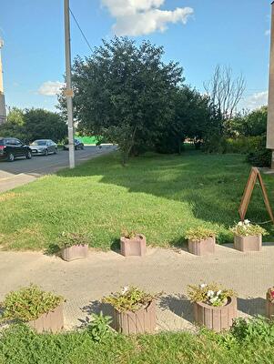 Киевская обл., Бориспольский район, г. Борисполь, Владимира Момота ул.