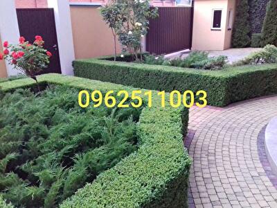 Киев, Редутная ул.