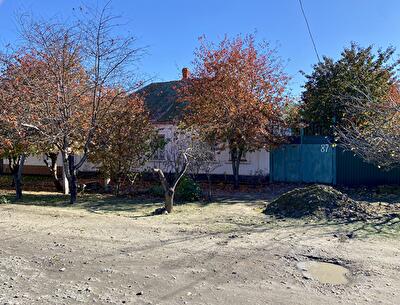 Николаев, Мастерская ул.