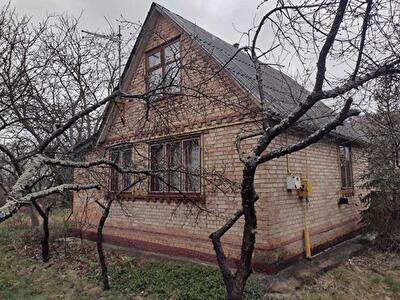 Киевская обл., Бородянский район, с. Пороскотень, Бузкова