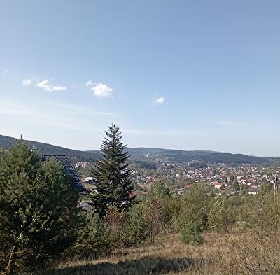 Дрогобычский район, пгт Сходница