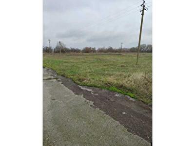 Чернігівська обл., Козелецький район, м. Остер, Омельянов, улица Нова