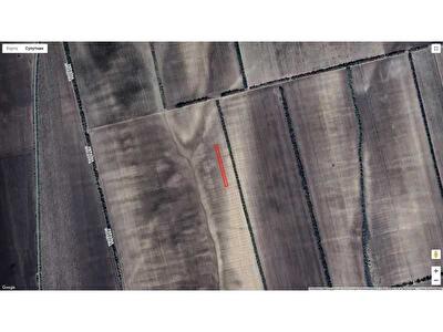 Одеська обл., Болградський район, с. Виноградівка, Нова