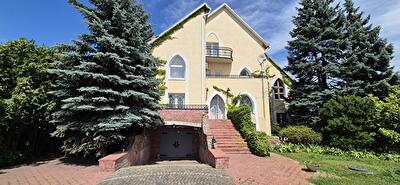 Васильковский район, с. Иванковичи, Садова