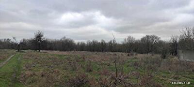 Запоріжжя, Адмірала Макарова вул.