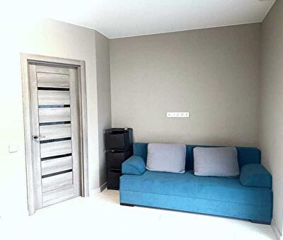 Киевская обл., Киево-Святошинский район, с. Петропавловская Борщаговка, Черкасская ул., 38