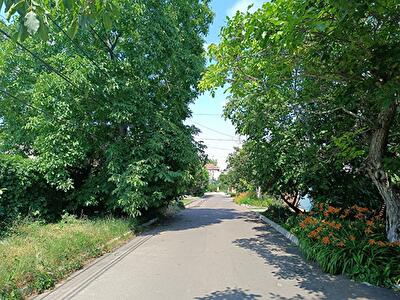 Одесса, Офицерская ул.