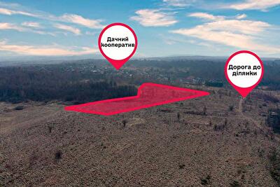 Пустомытовский район, с. Солонка, Людкевича ул.