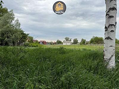 Київська обл., Бориспільський район, с. Гнідин, Механізаторів вул.