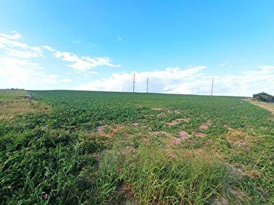 Ровенский район, с. Бармаки, миру