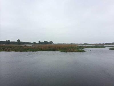 Бориспільський район, с. Проців, Центральна вул.