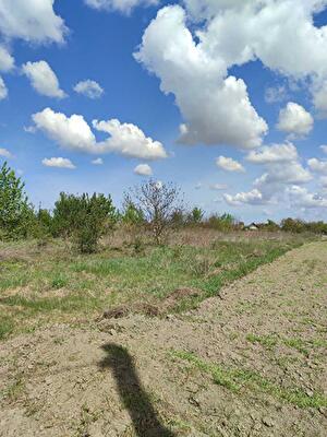 Броварський район, с. Семиполки, Старий шлях (Щорса)