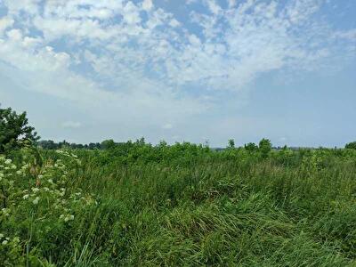 Київська обл., Бородянський район, с. Озера, Нова