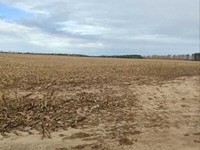 Макарівський район, с. Наливайківка, нова