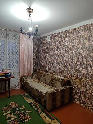 Смелянский район, г. Смела, Рєпіна