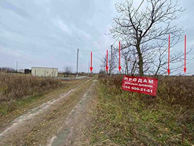 Бориспільський район, м. Бориспіль, Лозівка