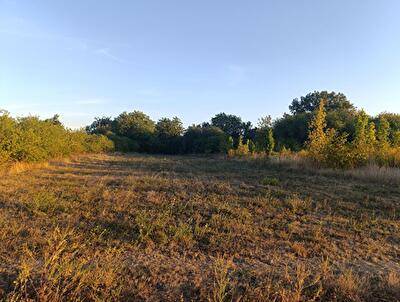Полтавська обл., Полтавський район, с. Мачухи