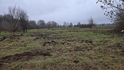 Київська обл., Вишгородський район, смт Димер