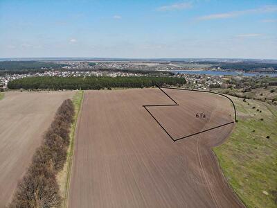 Васильковский район, с. Великая Солтановка, Центальна