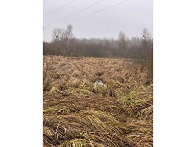 Бориспольский район, с. Головуров