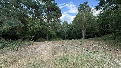 Обуховский район, с. Плюты, Малишка 8/1