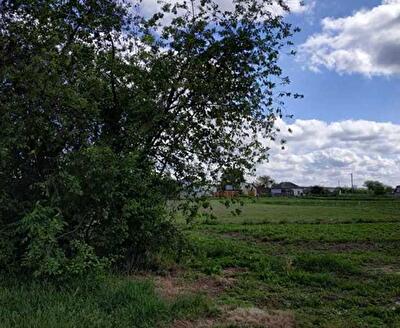 Броварской район, с. Русанов, Оболонська