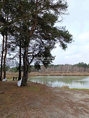 Переяслав-Хмельницкий район, с. Ковалин