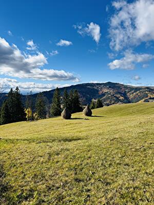 Верховинский район, с. Белоберезка