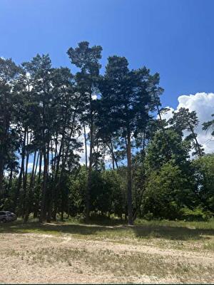 Київська обл., Києво-Святошинський район, с. Бобриця, Козацька 98