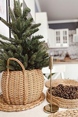 Одеса, Академика Филатова вул., 31