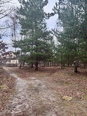 Бородянский район, с. Озерщина