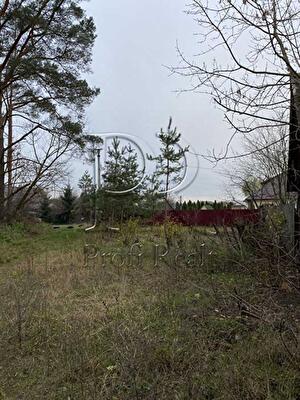 Киево-Святошинский район, с. Белогородка, Жовтнева вулиця