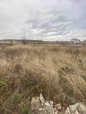 Броварський район, с. Рожни