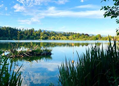Обухівський район, с. Семенівка
