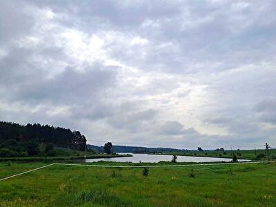 Макарівський район, с. Бишів, польова
