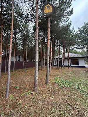 Бориспільський район, с. Проців, 4-а Садова вул.