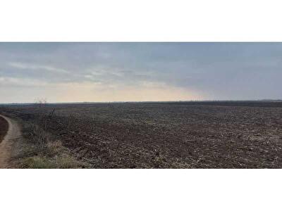 Херсонская обл., Нововоронцовский район, с. Нововоскресенское, Нова