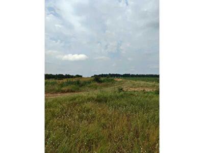 Бородянский район, с. Лубянка, Нова