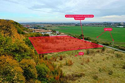 Пустомытовский район, с. Подберезцы, Дубовий Гай