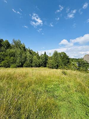 Косовский район, г. Косов