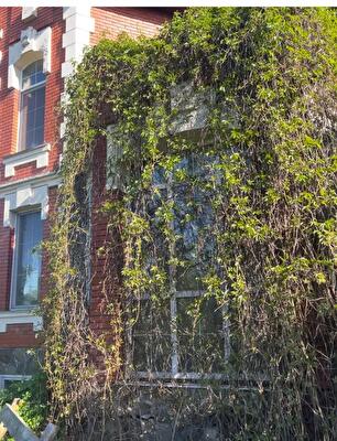 Киев, Евгения Харченко ул.