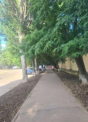 Одесса, Комитетская ул.