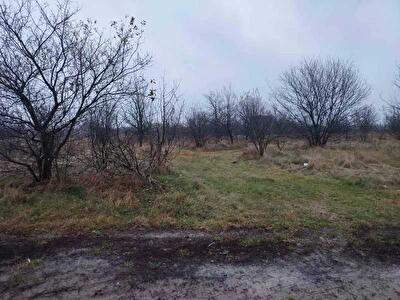 Жолковский район, с. Новая каменка, Садова, 25