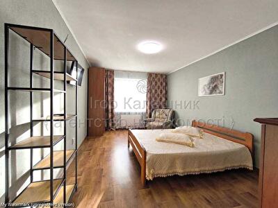 Київ, Бориса Гмирі вул., Антоненка-Давидовича, 1