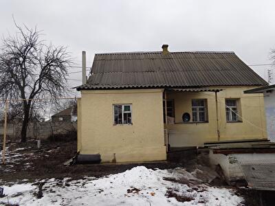 Арктический пер.