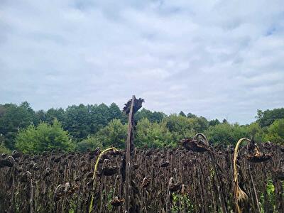 с. Головуров, б/н